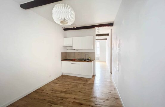 Appartement T2 &#8211; Carmes